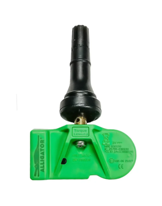 Alligator 591134